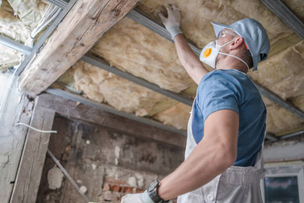 Professional Insulation Contractor in MO