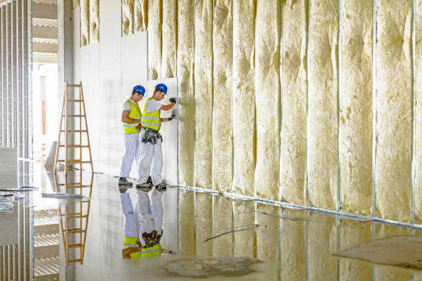 Best Insulation Maintenance and Repair in Und City, MO